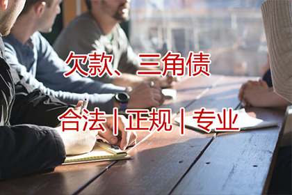 在线起诉欠款者可行吗？